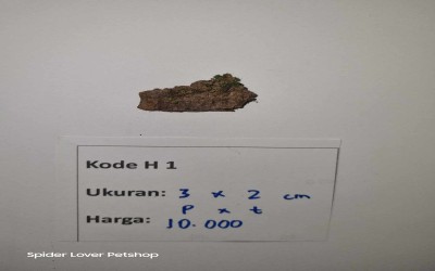 KAYU/ WOOD KODE H 1 - H 16